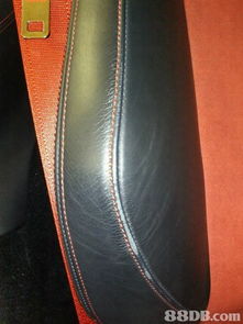 無需拉皮，換皮維修 保留珍貴皮革制品的高級質感